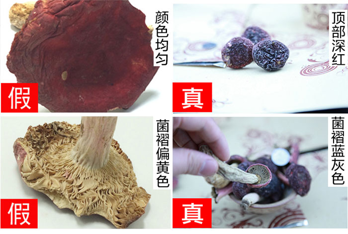 真红菇和假红菇的对比图