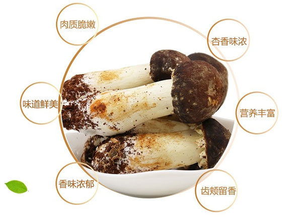 姬松茸的好处有哪些