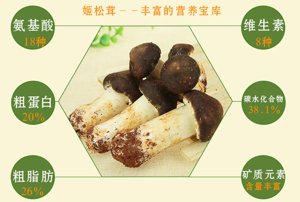 姬松茸有哪些营养价值