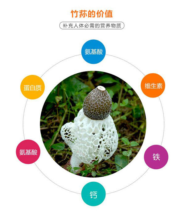 竹荪的营养价值