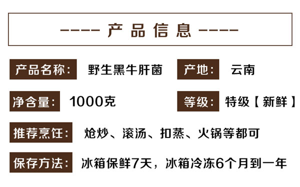 野生特级黑牛肝菌的生长环境