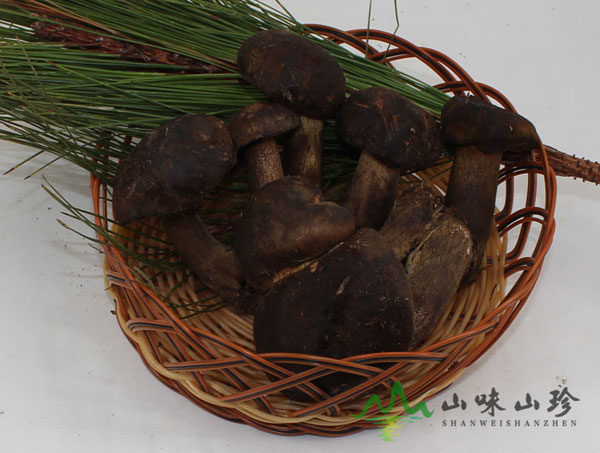 野生特级黑牛肝菌现货