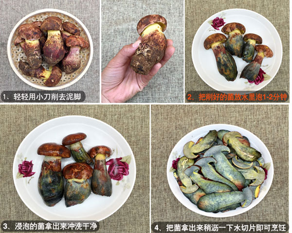 鲜品牛肝菌的清洗方法