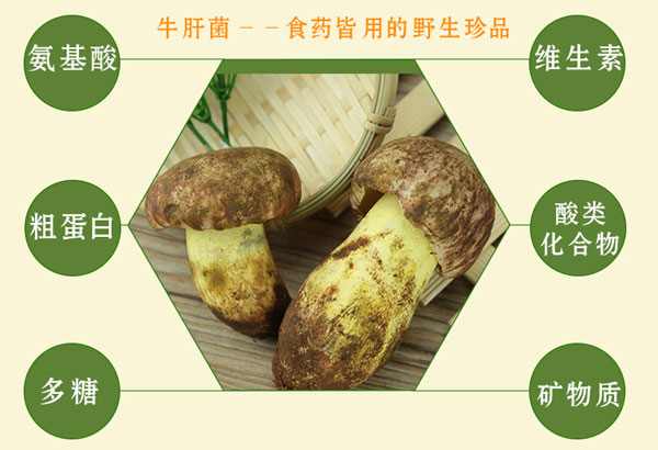 白葱牛肝菌的营养成分