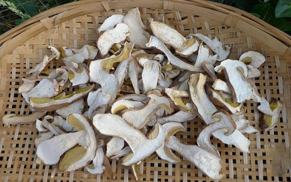 牛肝菌干制保存