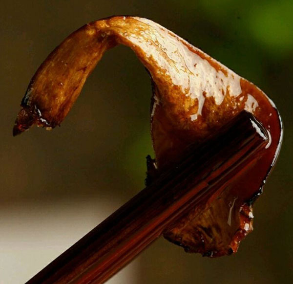新鲜牛肝菌油炒