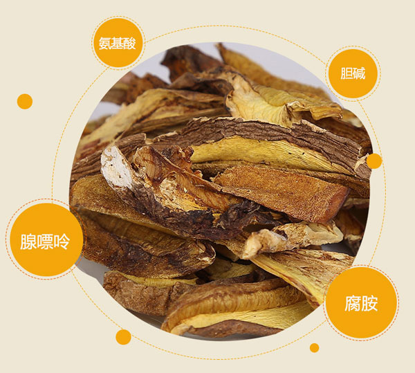 黄牛肝菌的营养价值与功效作用