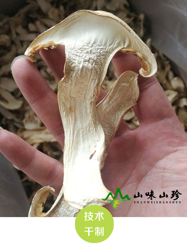 特级松茸干片价格