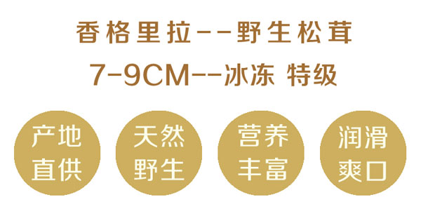 冰冻松茸特级