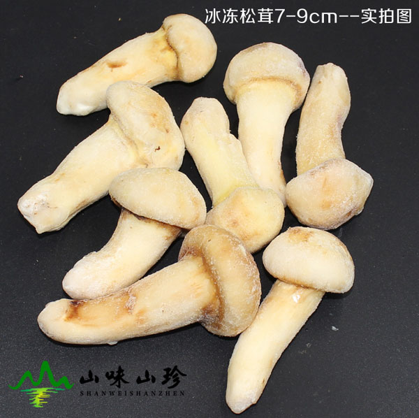 冰冻松茸7-9cm销售