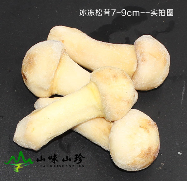 冰冻松茸特级价格