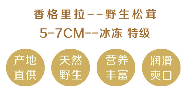 冰冻松茸5-7cm现货