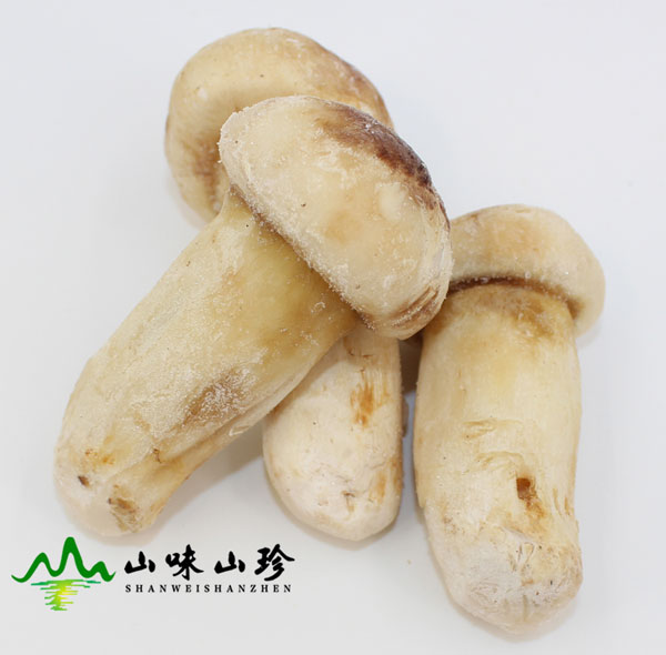 冰冻松茸5-7cm大量现货