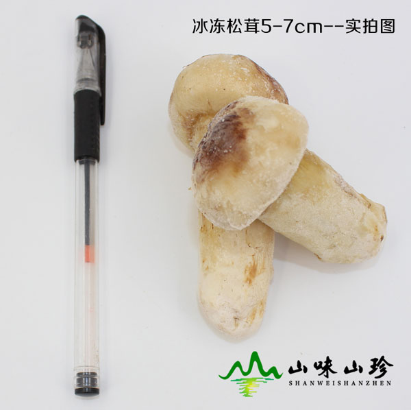 冰冻松茸5-7cm产地直发