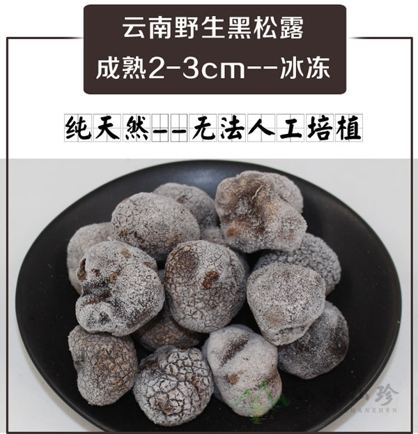 冰冻黑松露2-3cm特级