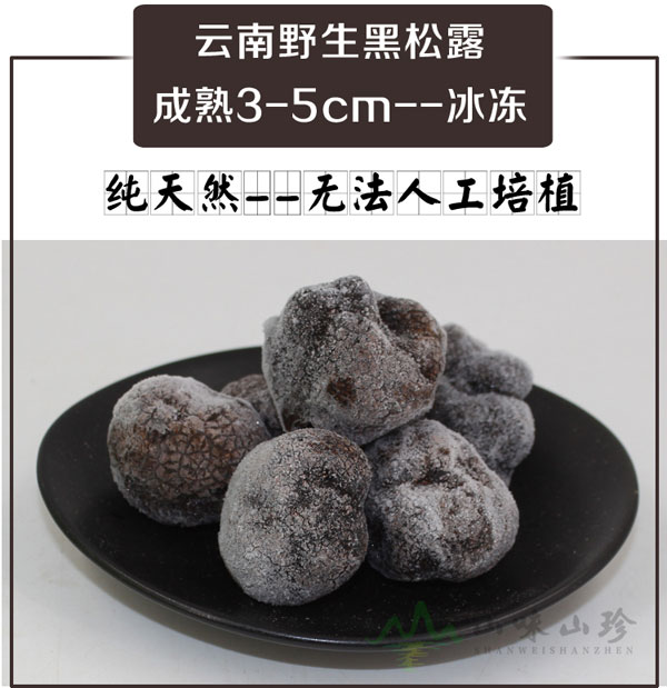 冰冻黑松露3-5cm特级