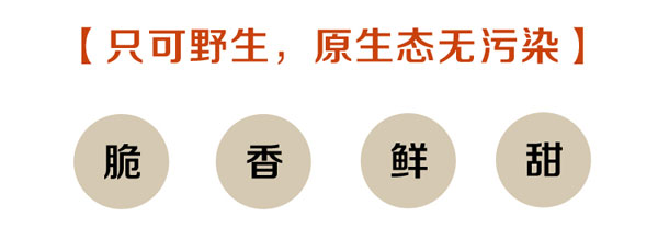 冰冻鸡枞菌现货