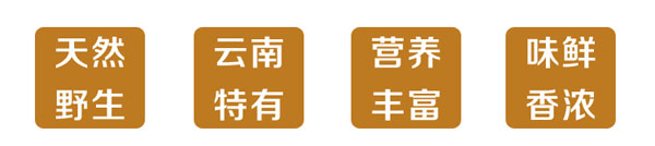 冰冻黄牛肝菌产地直发