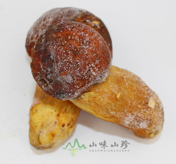 冰冻黄牛肝菌特级