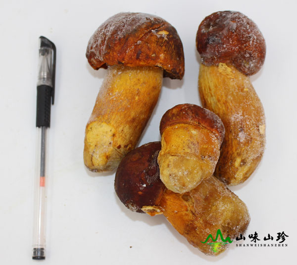 冰冻黄牛肝菌现货
