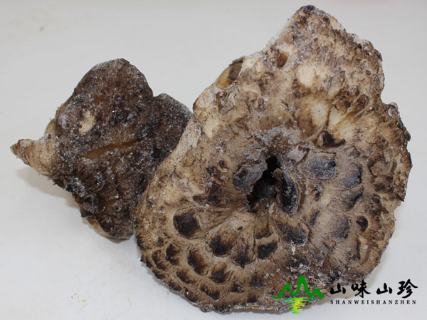 冰冻黑虎掌菌特级
