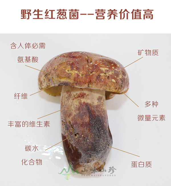 冰冻红葱菌现货