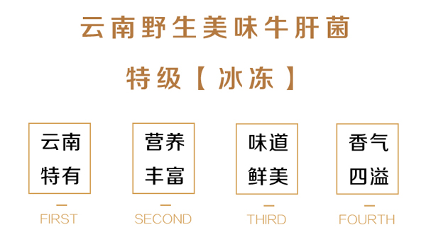 特级冰冻美味牛肝菌