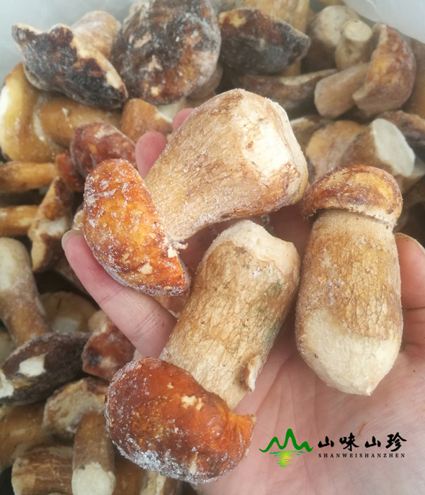 冰冻美味牛肝菌现货