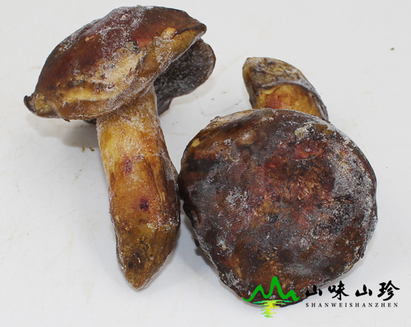 冰冻黑牛肝菌大量现货