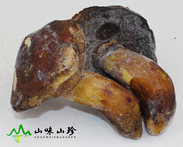 冰冻黑牛肝菌现货