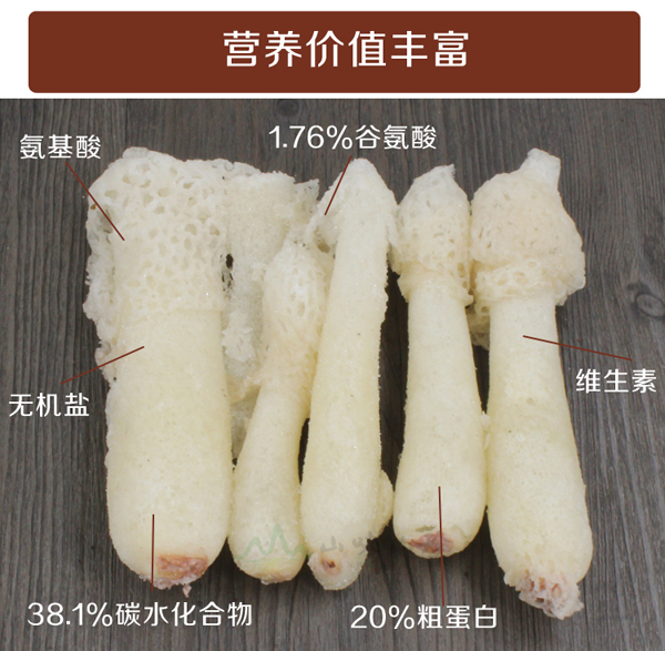 冰冻竹荪营养价值