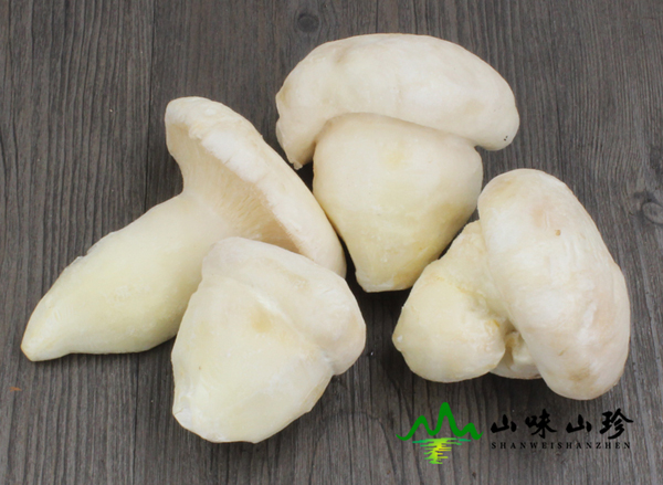 冰冻老人头菌特级