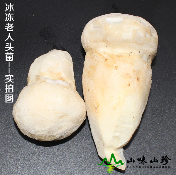 冰冻老人头菌大量现货