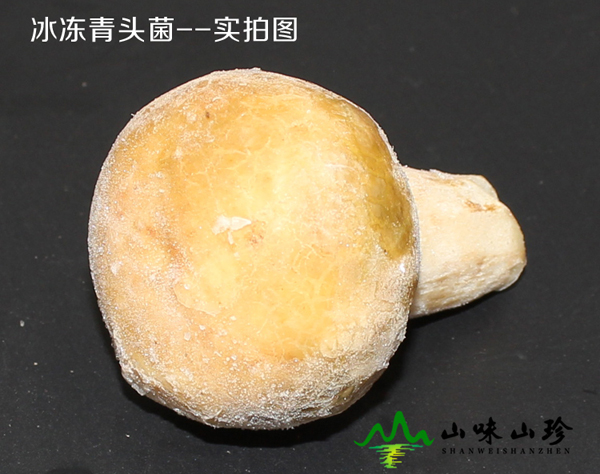 冰冻青头菌大量现货
