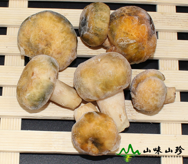 云南冰冻青头菌