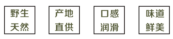 冰冻青头菌特级
