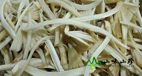 鸡枞菌用手撕成小块 鸡枞菌用手撕成小块