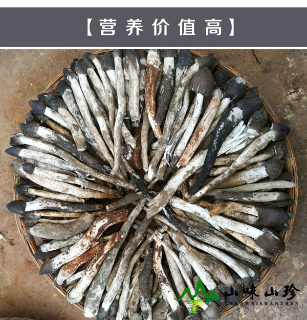 新鲜火把鸡枞菌营养价值