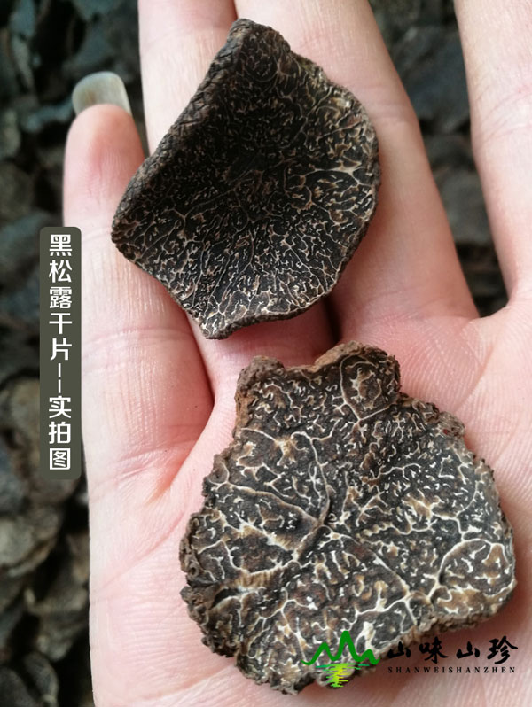 干品黑松露成熟大片现货
