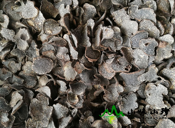 干品黑松露成熟大片产地直销