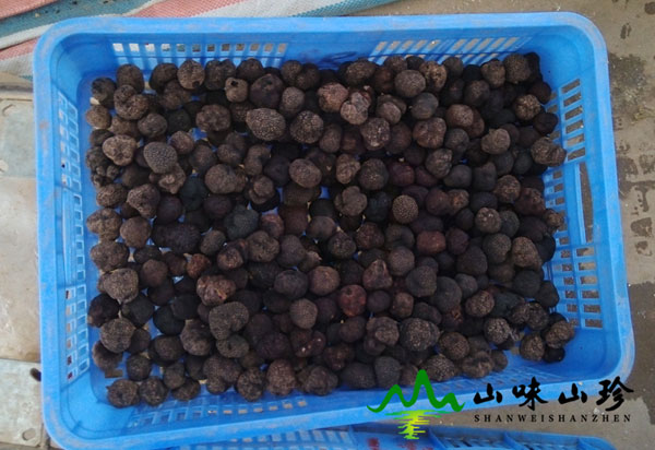 干品黑松露小片批发