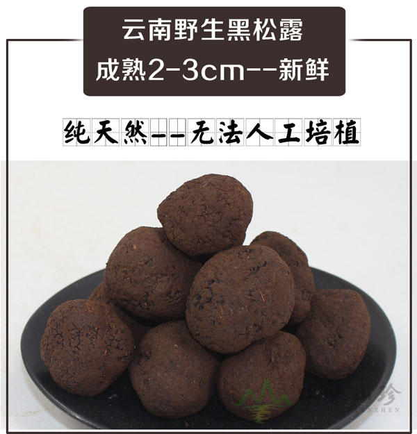 特级新鲜黑松露2-3cm 特级新鲜黑松露2-3cm