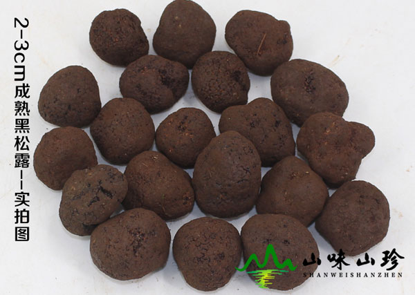 特级新鲜黑松露2-3cm现货 特级新鲜黑松露2-3cm现货