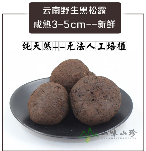 新鲜特级黑松露3-5cm 新鲜特级黑松露3-5cm