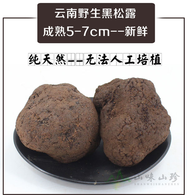 新鲜黑松露5-7cm--高端品质 新鲜黑松露5-7cm--高端品质
