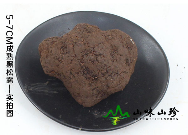 新鲜特级黑松露5-7cm 新鲜特级黑松露5-7cm