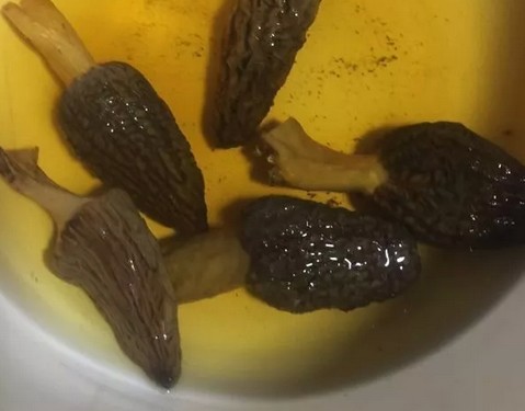羊肚菌炖瘦肉的吃法