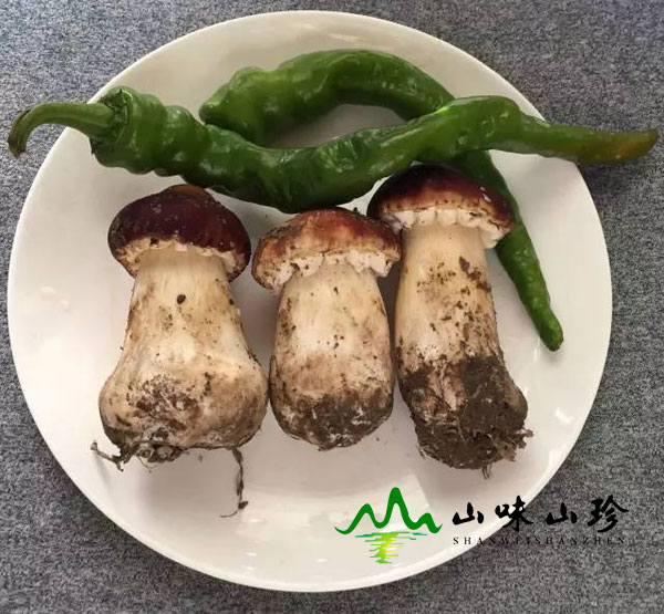 青椒炒姬松茸的做法