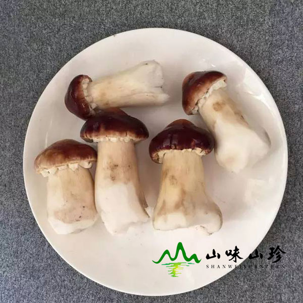 清洗干净姬松茸