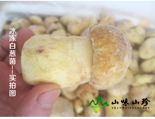 冰冻白葱菌产地直发